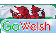 Welsh Souvenirs